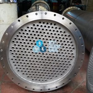 esanjor02